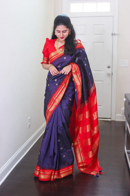 Paithani Erkal saree