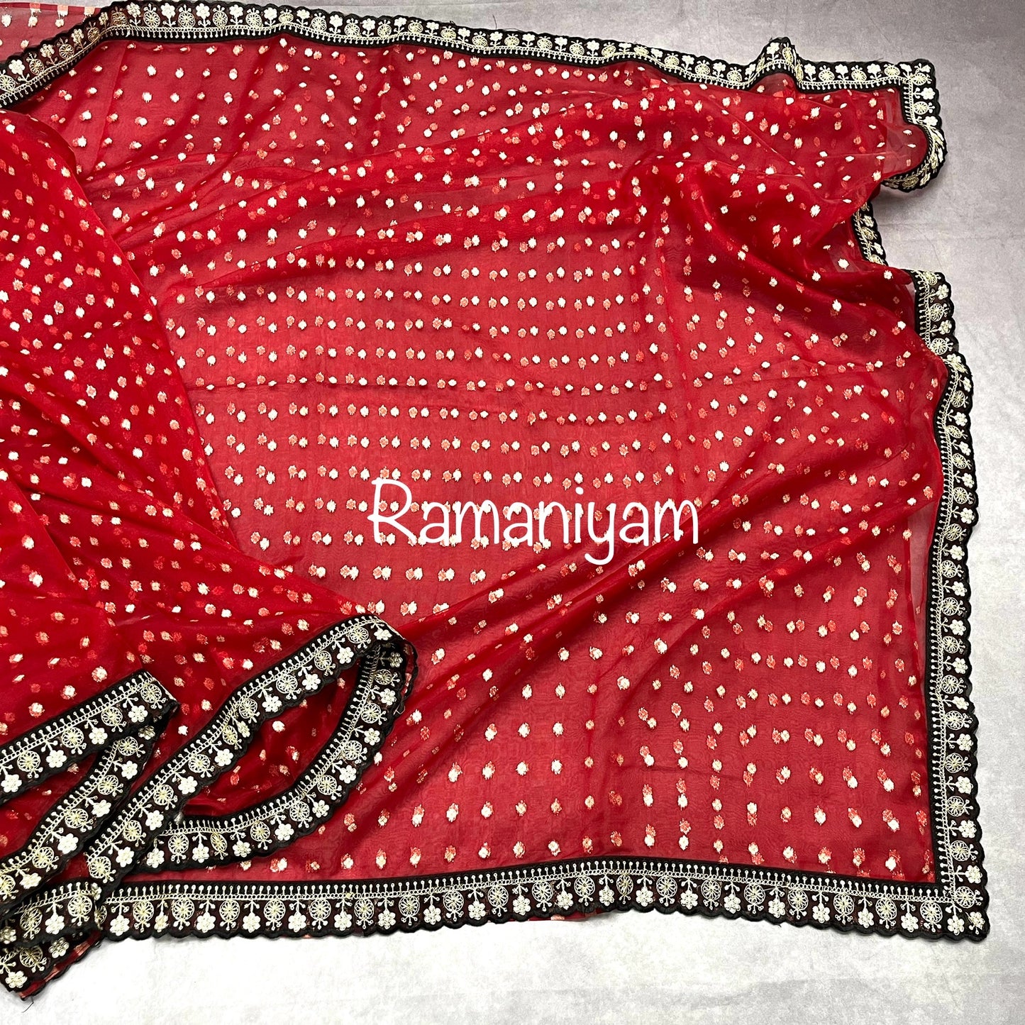 Red organza saree Sabhyasachi inspired Indian jungle concept thread work blouse