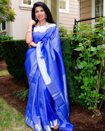 Blue Kanchi Saree with Silver Borders - Ramaniyam USA